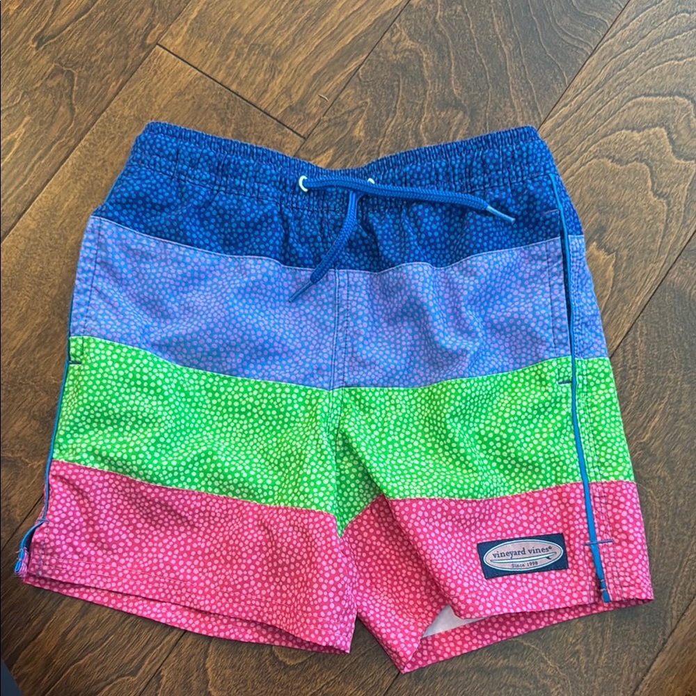 Vineyard Vines Multicolor Striped Swim Trunks 7